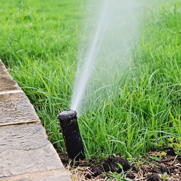 automatic-lawn-sprinkler-watering-sprinkler-with-2021-09-01-17-10-24-utc-min